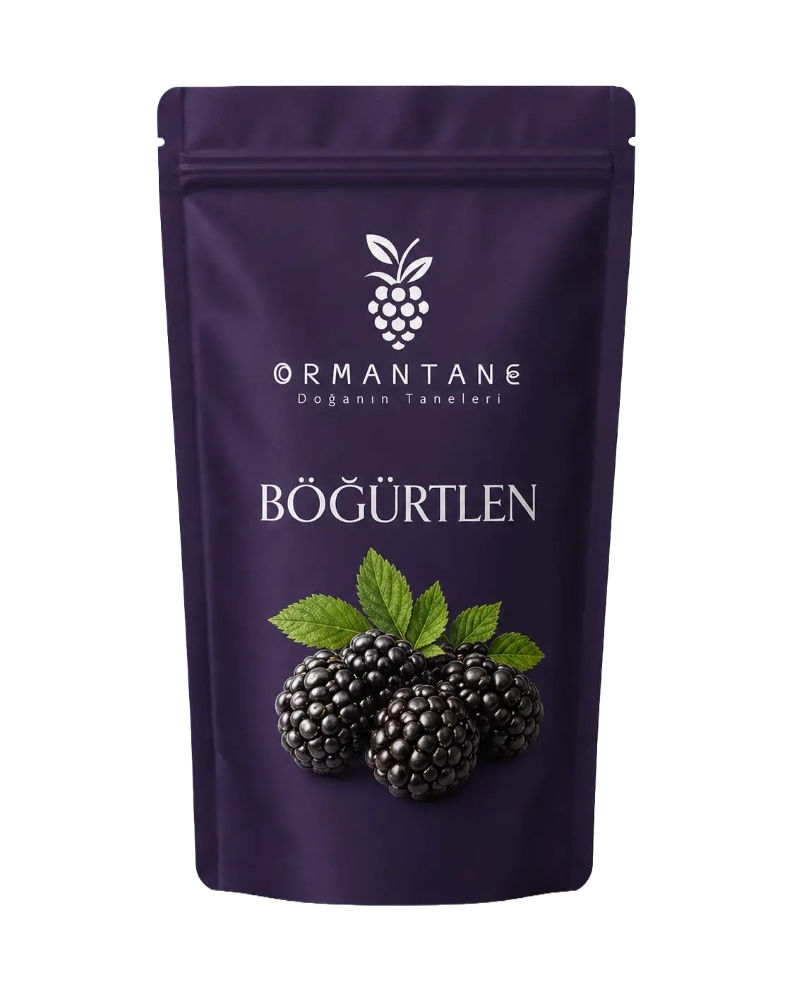 Böğürtlen